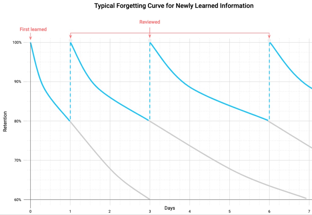 Typical Forgetting Curve for Newly Learned Information