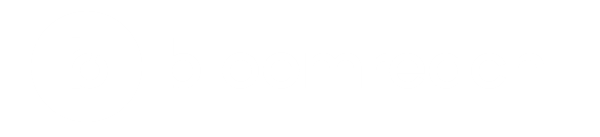 bloomreach logo, white