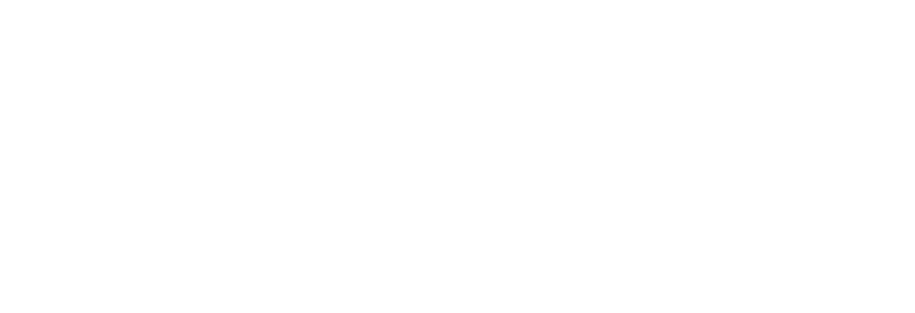 insight partners logo, white