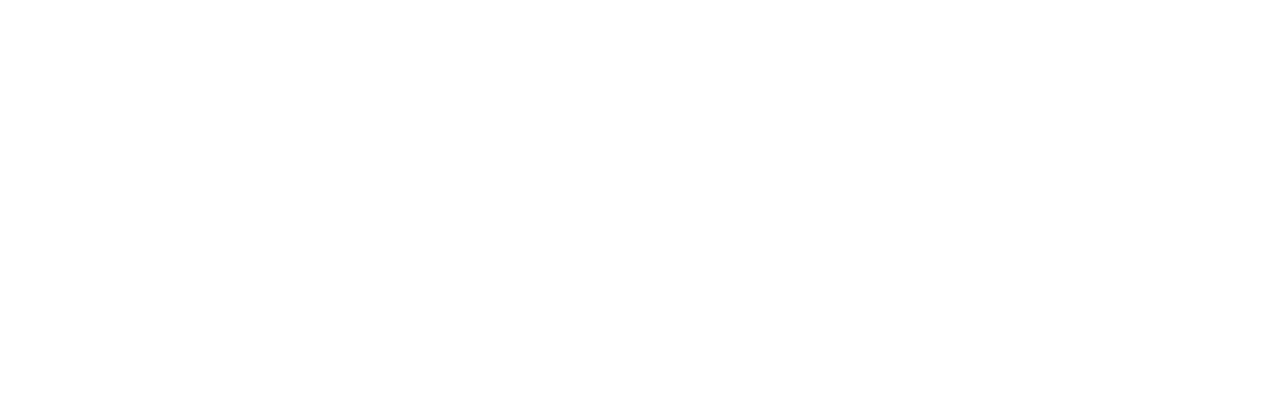 google logo, white