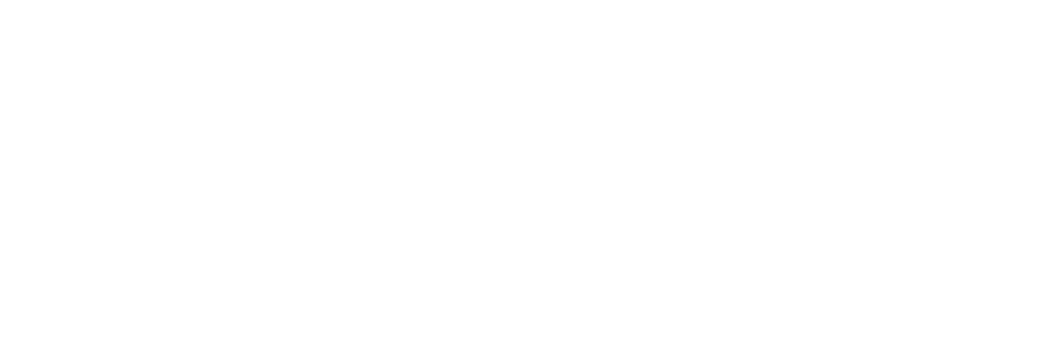 n.rich logo, white