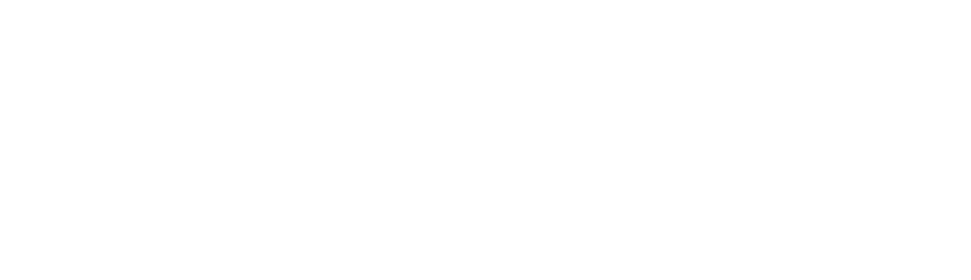 zig.ai logo, white