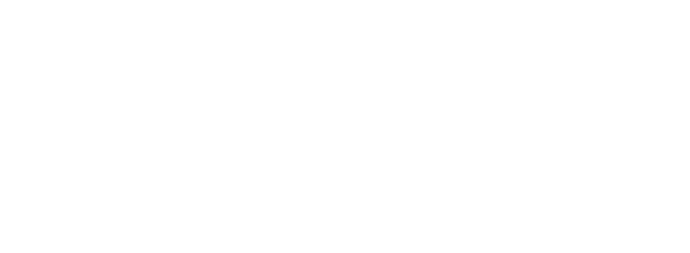fin.ai logo, white
